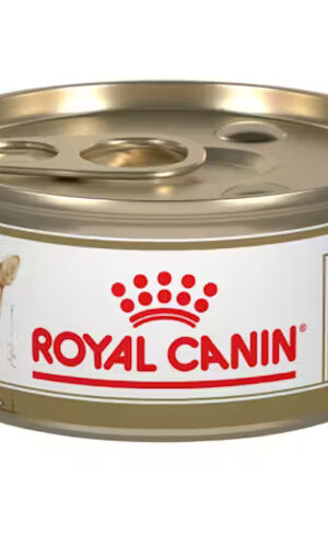 Royal Canin Chihuahua Lata 85 Gr