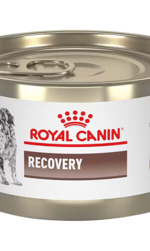 Royal Canin Recovery Wet Lata 145 Gr