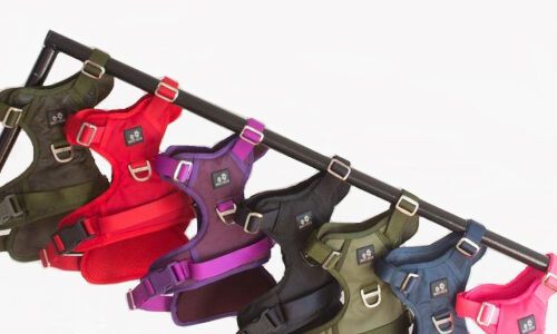 Pechera Antitirones Premium Best Pets