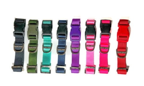 Collar Premium Best Pets