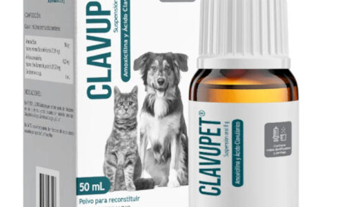 Clavupet Suspencion Oral X 50 ML