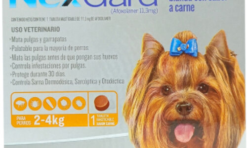 Nexgard Chewable S Para Perros De 2 Kg Hasta 4 Kg