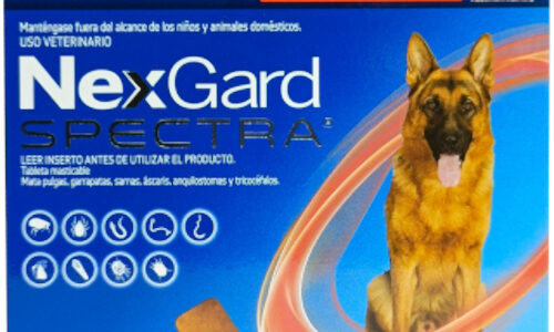 Nexgard Spectra XL Para Perros De 30 Kg Hasta 60 Kg