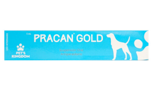 Pracan Gold Suspencion