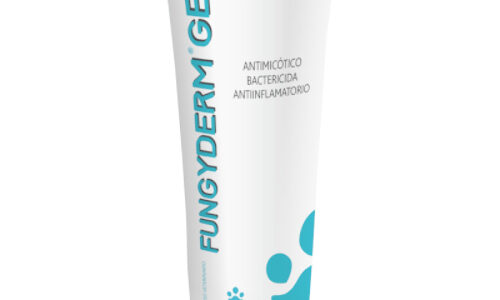 Fungyderm 35 Gr
