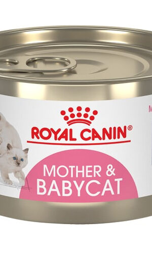 Royal Canin Mother Y Baby Cat Wet 145 Gr