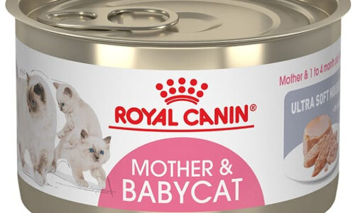 Royal Canin Mother Y Baby Cat Wet 145 Gr