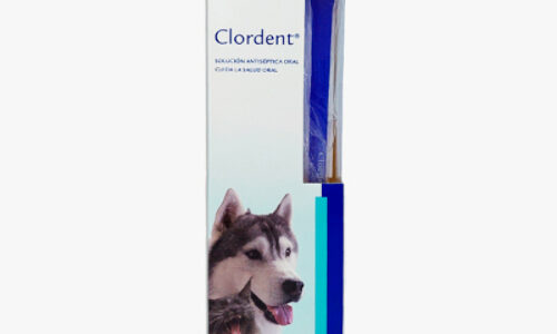 Clordent Spray 120 ML