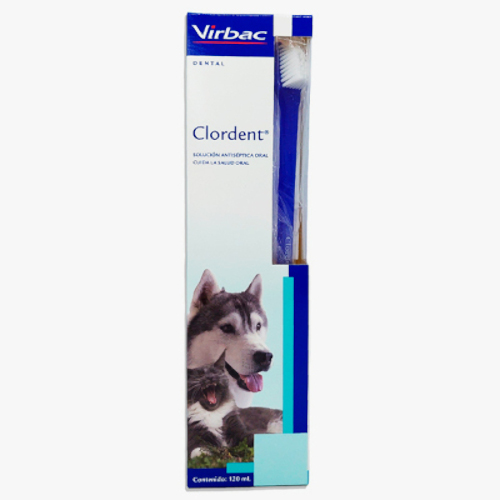 Clordent Spray 120 ML