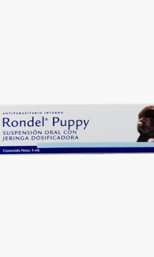 Rondel Puppy