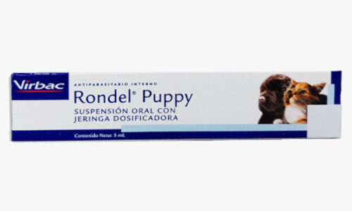 Rondel Puppy