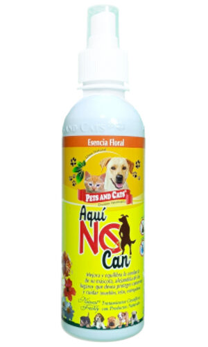 Aqui No Can X 240 ML Natural Freshly
