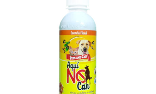 Aqui No Can X 240 ML Natural Freshly