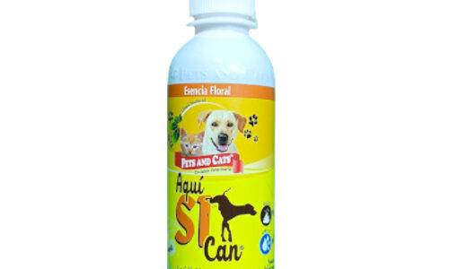 Aqui Si Can X 240 ML Natural Freshly
