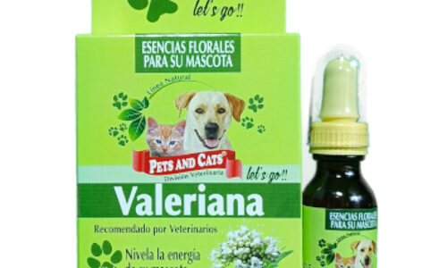 Esencia Valeriana X 25 ML Natural Freshly