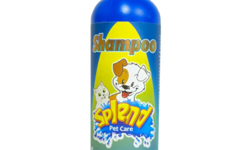 Splend Shampoo Insecticida