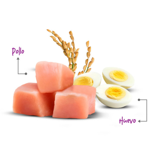 Nutrapro Senior 2 Kg - Image 2