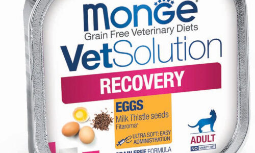 Cat Monge Vet Solution Recovery 100 Gr