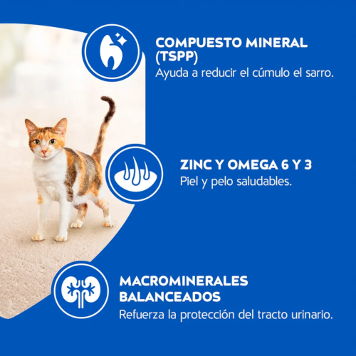Cat Chow Adulto Delimix Defense Plus 10 Kg - Image 3