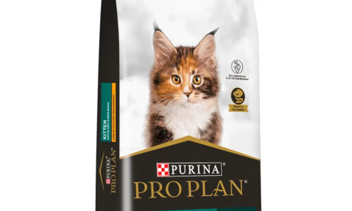 Pro Plan Kitten