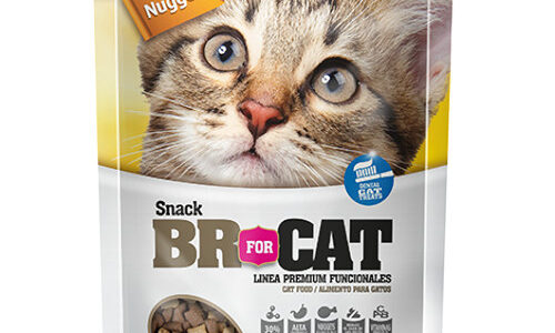 Br For Cat Snacks Equilibrio 60 Gr
