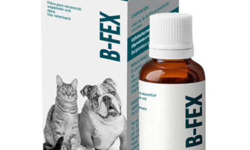 B-Fex Polvo Para Reconstruir 60 ML