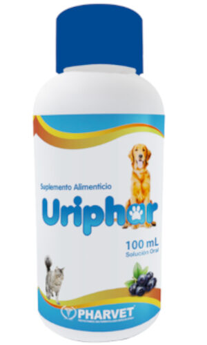 Uriphar Solucion Arandanos Frasco X 100 ML