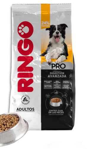Ringo +Pro Adultos