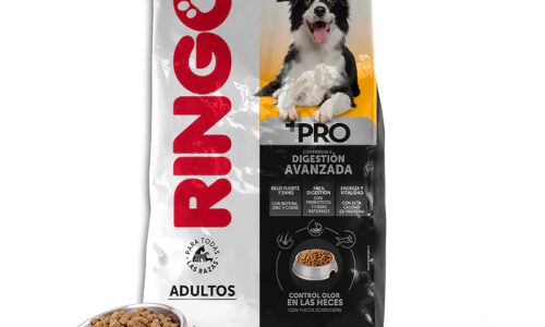 Ringo +Pro Adultos