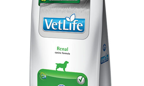 Vet Life Renal Canine 2 Kg